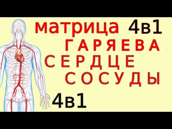 Гаряев матрицы омоложение. Матрица гаряева исцеление костей сосудов мышц. матрица гаряева 3 мощное исцеление костей и мышц. лучшая медитация исцеления сердца вен и сосудов. матрица гаряева исцеление нервной системы.