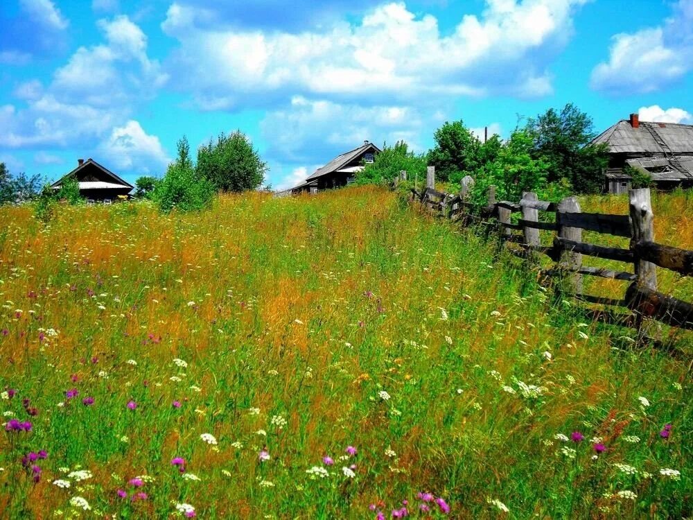 Деревня основы. Природа деревня. лето в деревне. природа в деревне летом. деревенская природа.