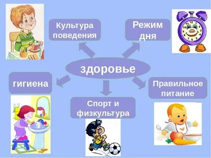 Режим дня школьника гигиена