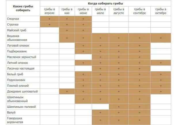 Календарь грибника. Календарь грибника. Календарь грибника ленинградская область 2020. При какой температуре в лесу растут грибы. При какой температуре в лесу растут грибы.