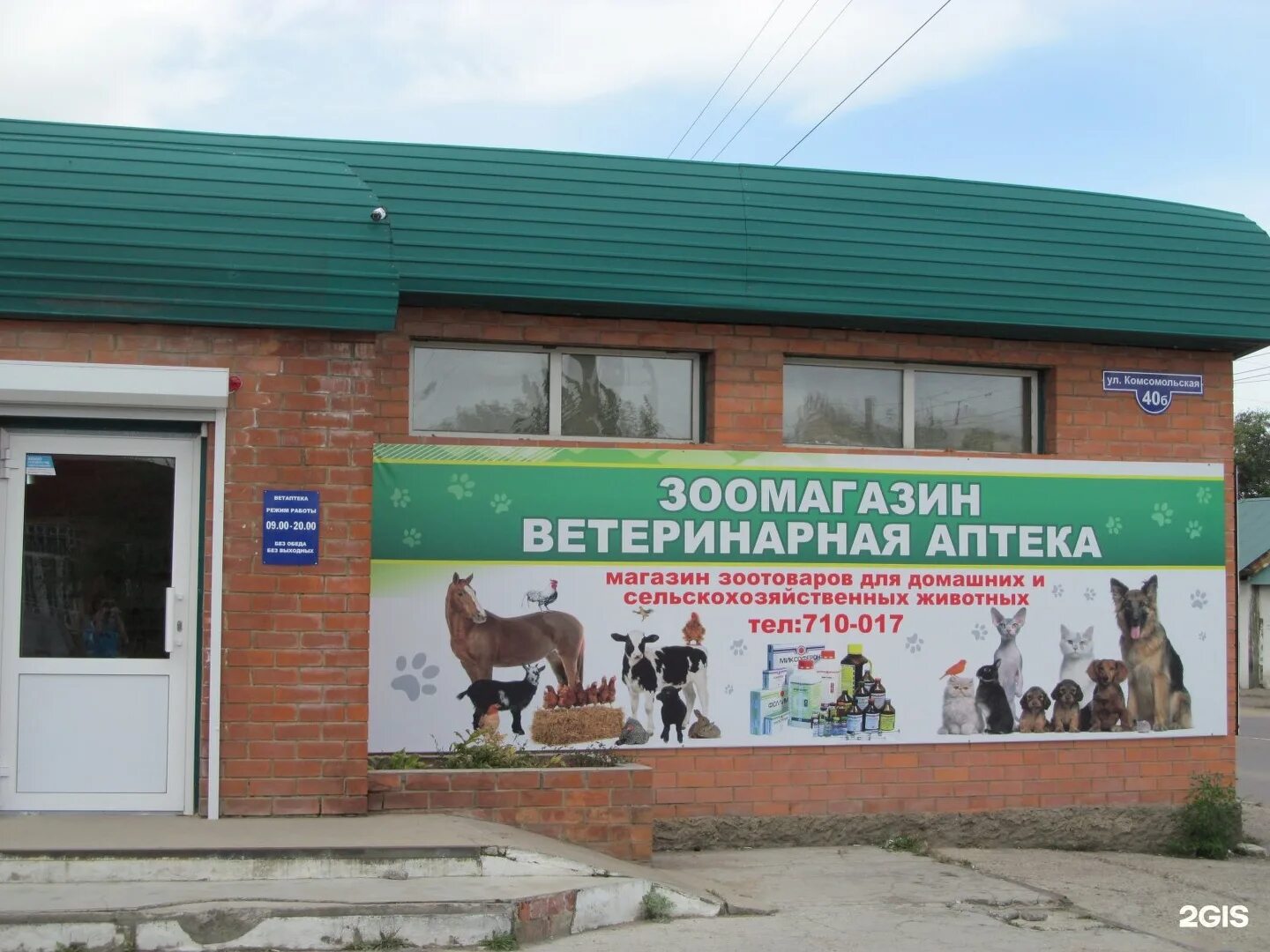 Баннер для ветаптеки. Аптека для животных. Ветеринарный магазин. Ветеринарная аптека для животных. Ветеринарная аптека магазин