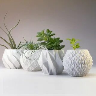 Variety plants