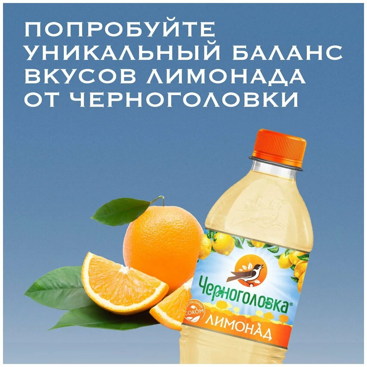лимонад черноголовка дюшес 0. черноголовка лимонад 0,5. черноголовка дюшес 0. напиток черноголовка байкал 1,5л пэт. 5л.