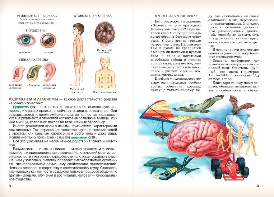 Биология 8 класс учебник Сивоглазов. Учебник по биологии 8 класс ФГОС. Биология 8 класс Сивоглазов Сапин Каменский. Биология 8 класс учебник Сивоглазов Каменский. Биология 8 класс главное