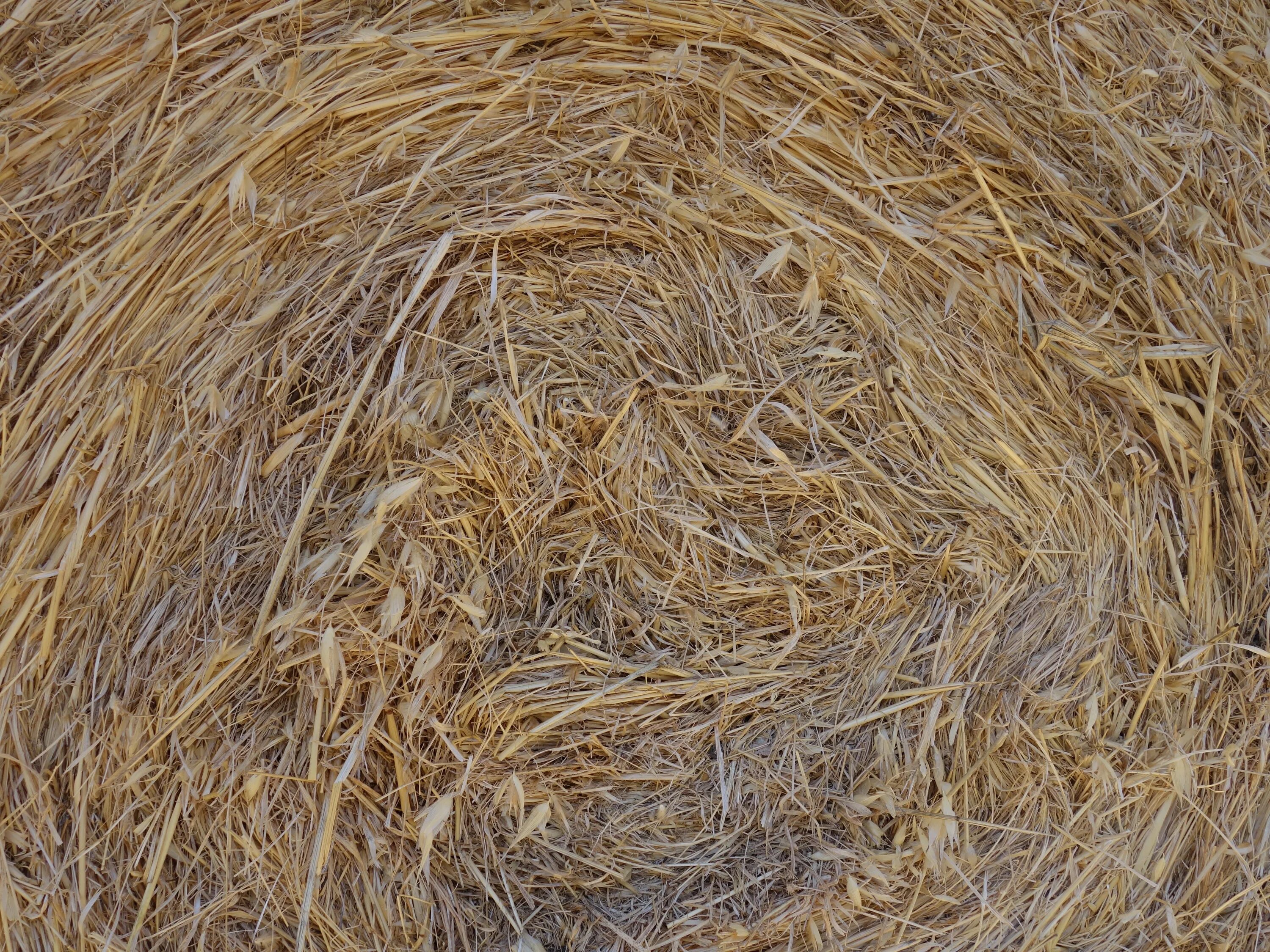 Straw page