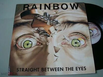 Between the eyes
