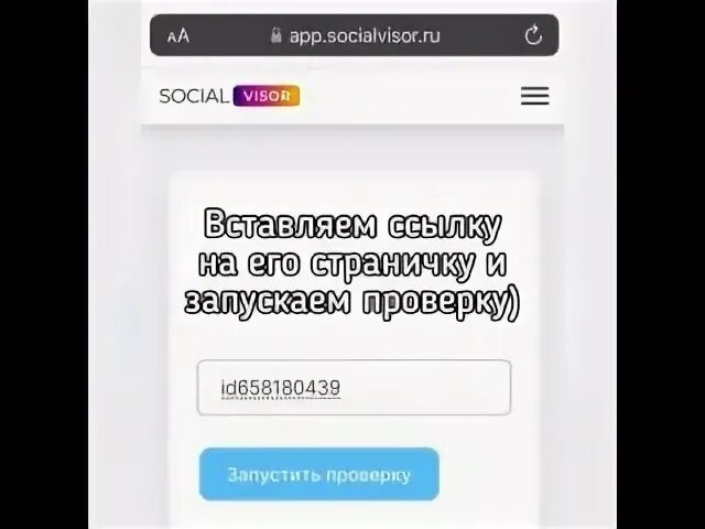 Socialvisor ru