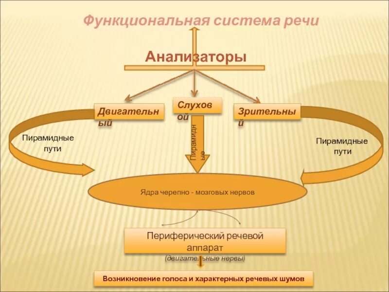 Речевая функциональная система. Речевая функциональная система