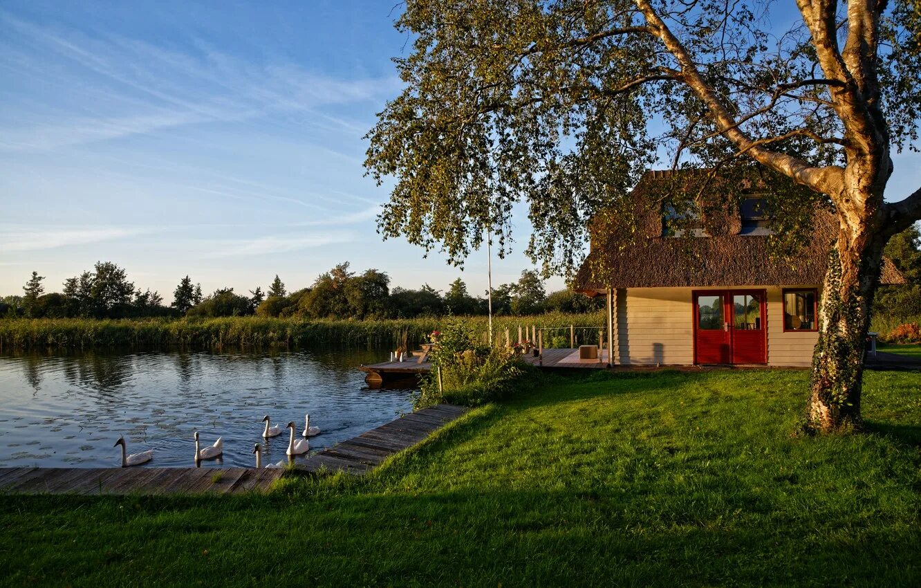 Поселок на берегу реки. Ривер хаус река. дом у реки (river cottage). фермское озеро беседка. river house щелково.