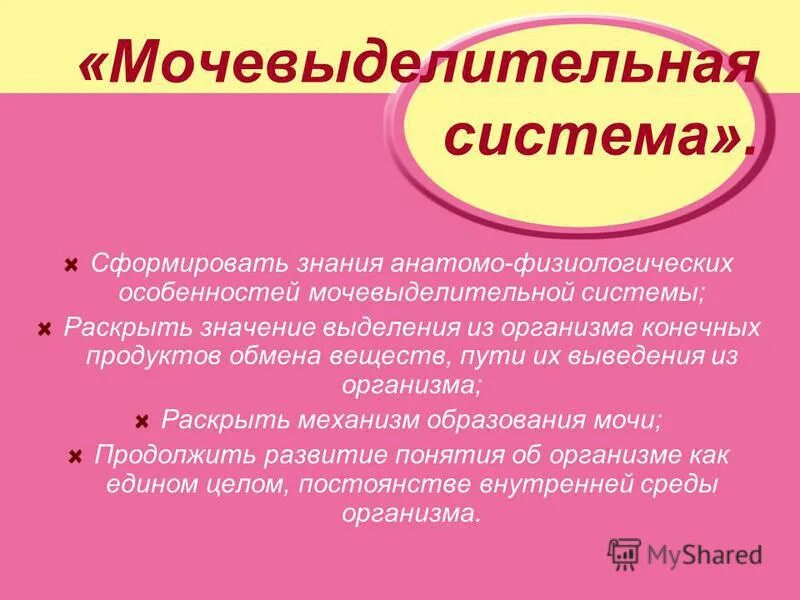 Значение выделения для организма. Значение выделения для организма