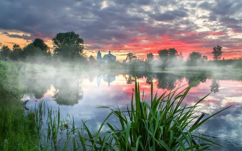 Утренняя река. Ива у реки. Утренняя река. Голубь над водой. Туманное утро на озере.