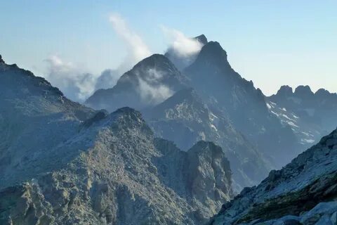 Monte parivision