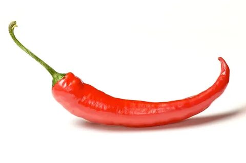 Chilly pepper