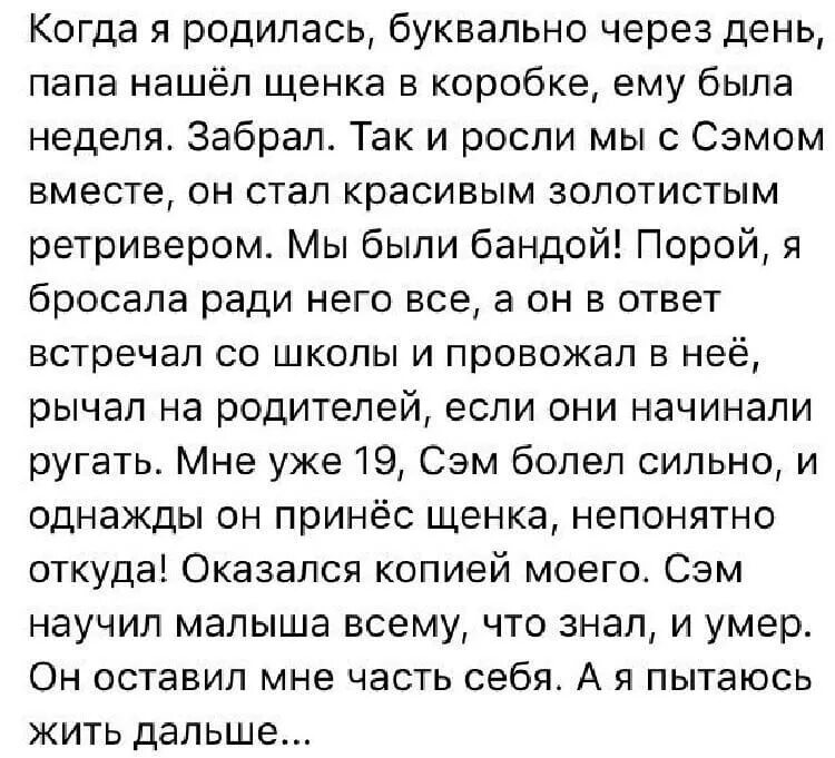 Хороший рассказ жизненный. Грустные истории из жизни. Грустные рассказы. Грустные рассказы короткие. Грустные истории короткие.