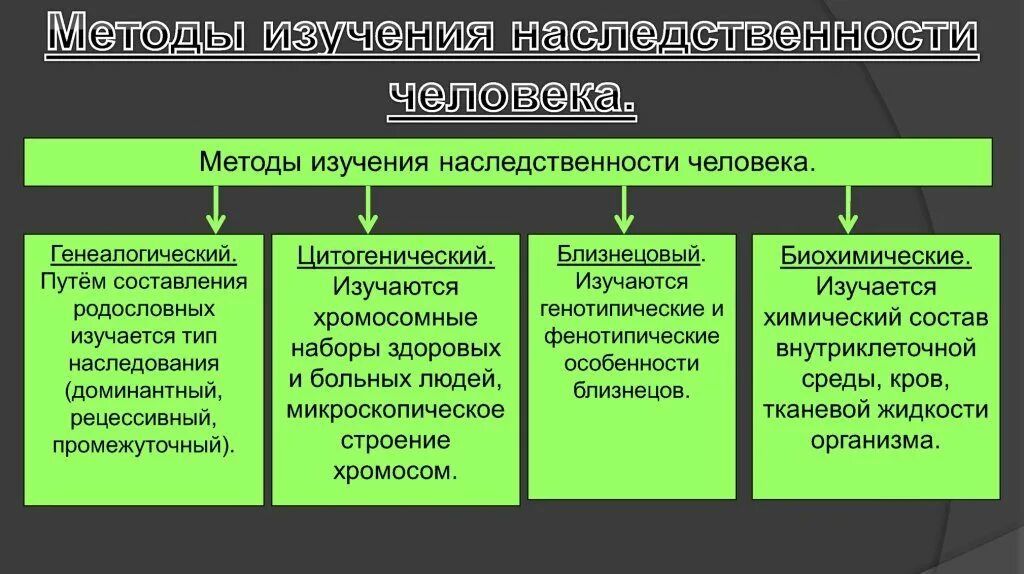 Методы исследования изменчивости. Методы изучения наследственности и изменчивости человека. методы изучения наследственности человека схема. какие методы используются при изучении наследственности человека. методы исследования генетики таблица.