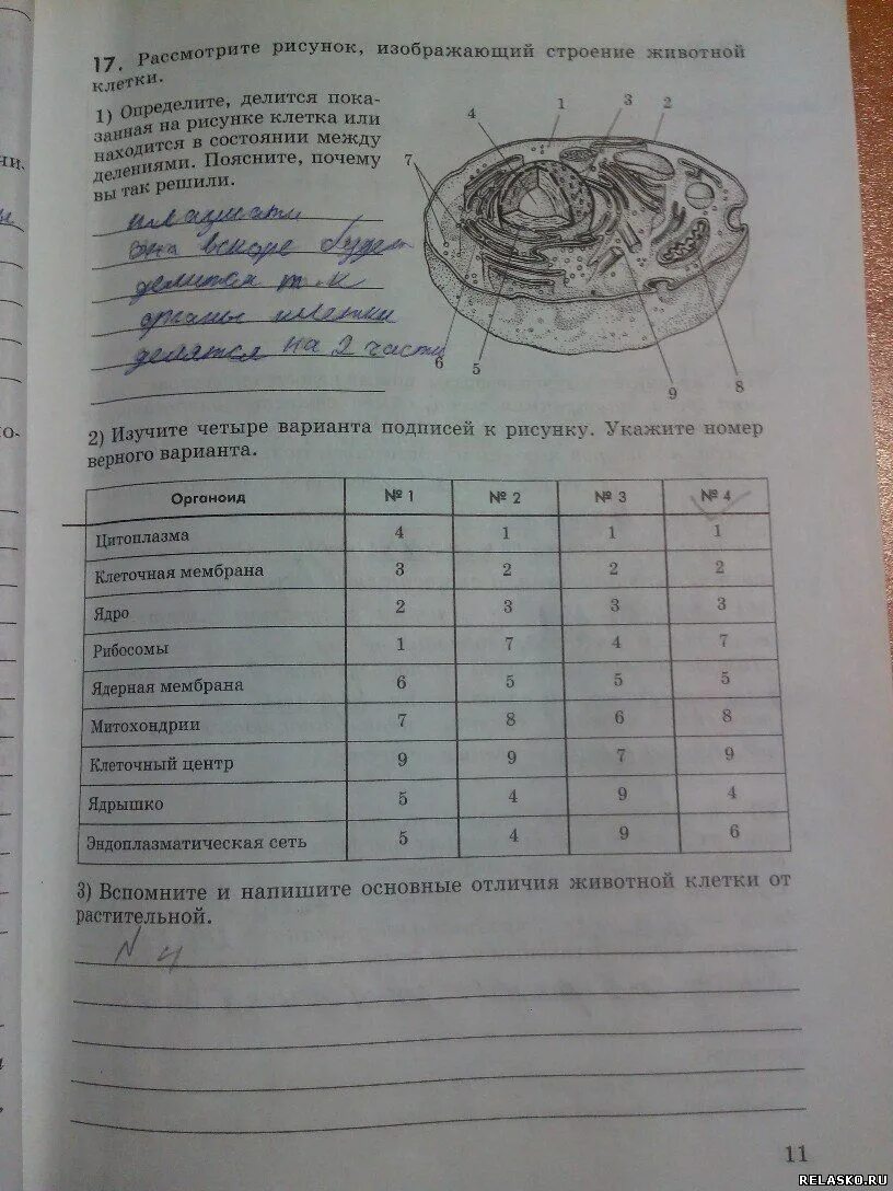Биология 8 рабочая тетрадь маш беляев. Диагностические работы по биологии 8 класс Колесов. Биология Колесов 11 класс. Рисунок номер 13 биология 8 класс р.д маш. Изучите 4 варианта подписей к рисунку укажите номер верного варианта.