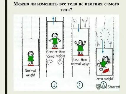 Общий вес это