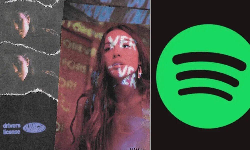 Maryland driver license. Missouri driver license 2021. Песни drivers license. Olivia rodrigo 2022. Песни drivers license.