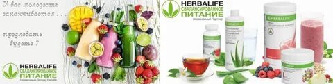 Mydelivery shop гербалайф казахстан