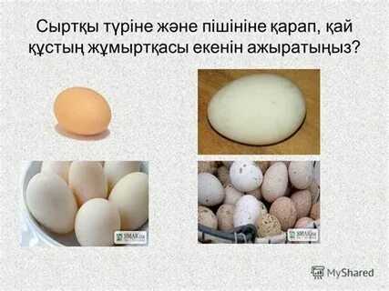 Мишель Трахтенберг жалаңаш суреттері