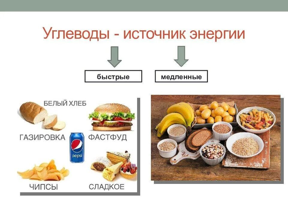 Источники углеводов в питании. Источники углеводов в питании