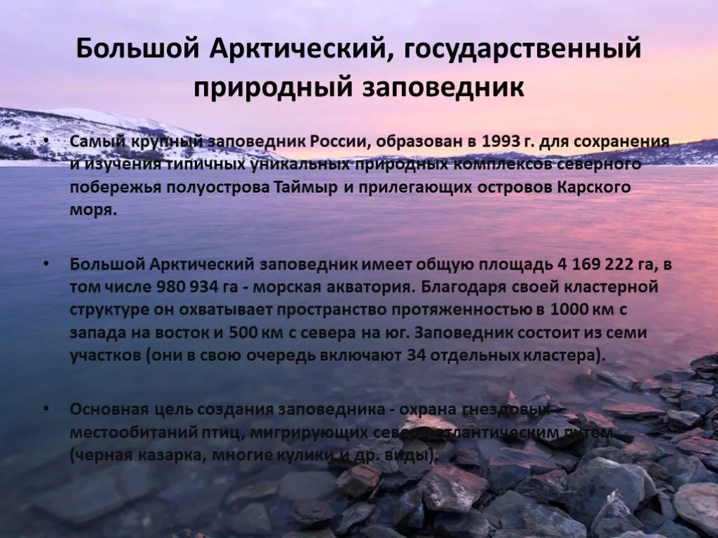 Большой арктический заповедник - презентация онлайн