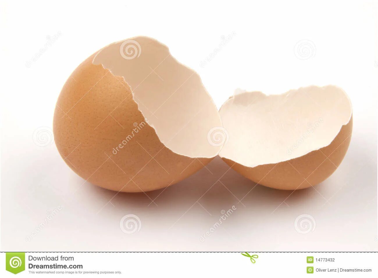 Broken shells