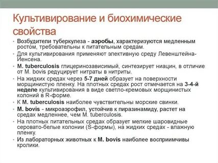 Туберкулез свойства
