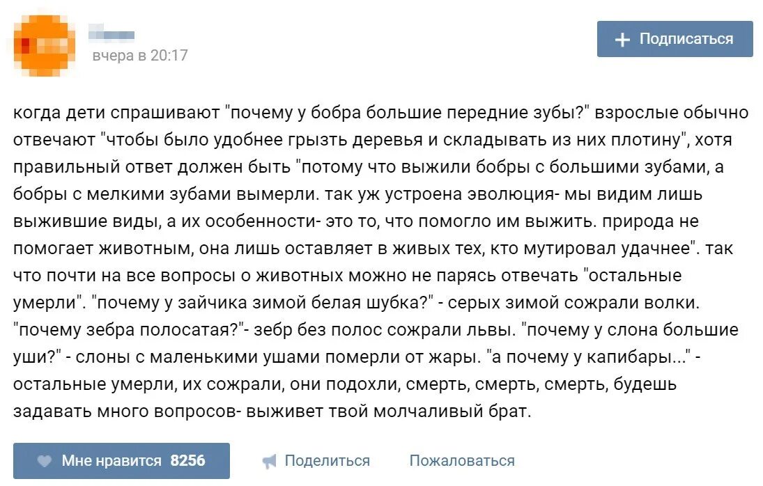 Спрашивают почему без