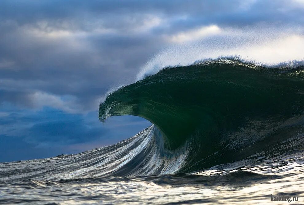 Аква лужники бассейн 50 метров. Туапсе бассейн 50 метров. Астрахань бассейн 50 м открытый. Дорожки плавательного бассейна. Цунами 524 метра.