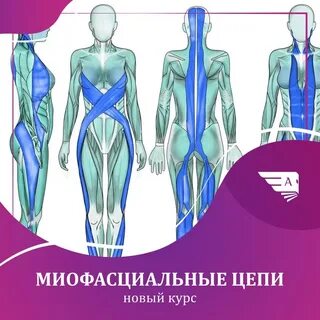 Миофасциальные боли