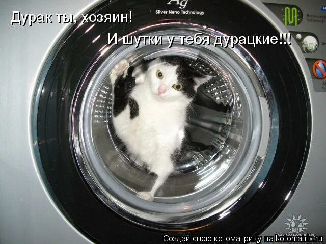 дурак ты боцман. дурак ты боцман и шутки. дурак ты боцман. анекдот про боцмана. дурак ты боцман.