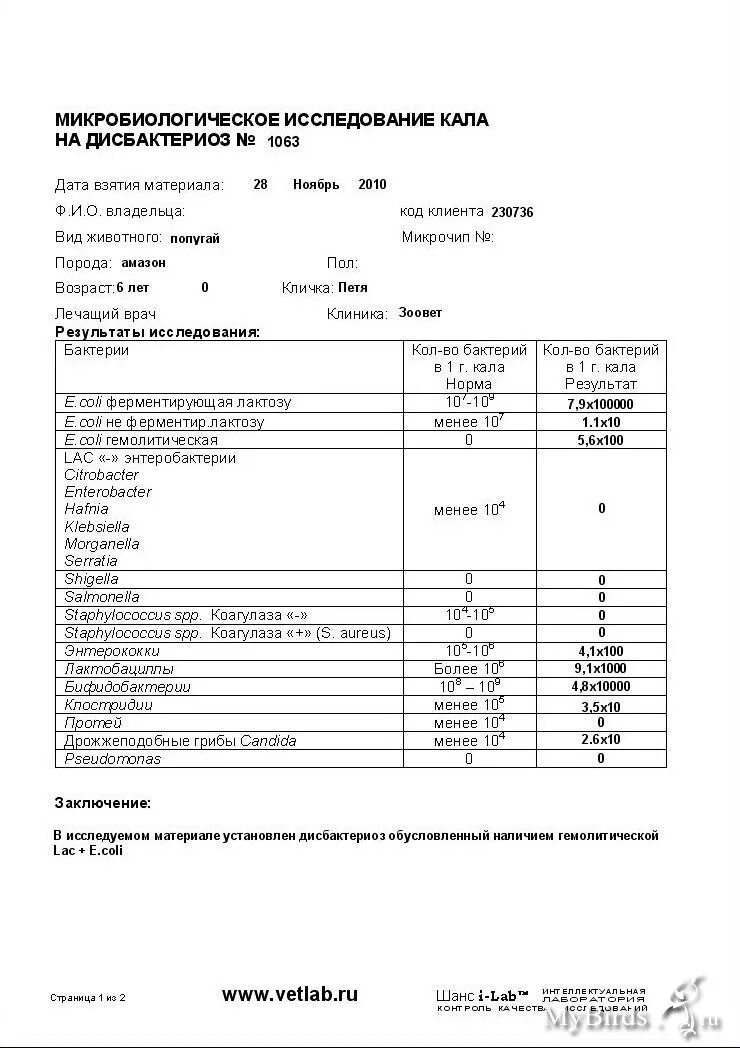 Институт микробиологии анализы. Институт микробиологии анализы. Народный комиссариат здравоохранения рсфср. Ростовский нии микробиологии и паразитологии. Бланк анализа на микробиологическое исследование фекалий.