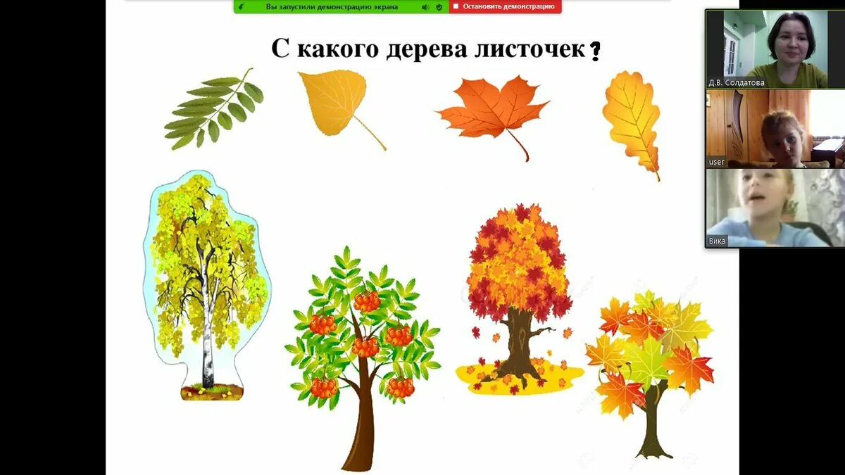 Угадай листочки