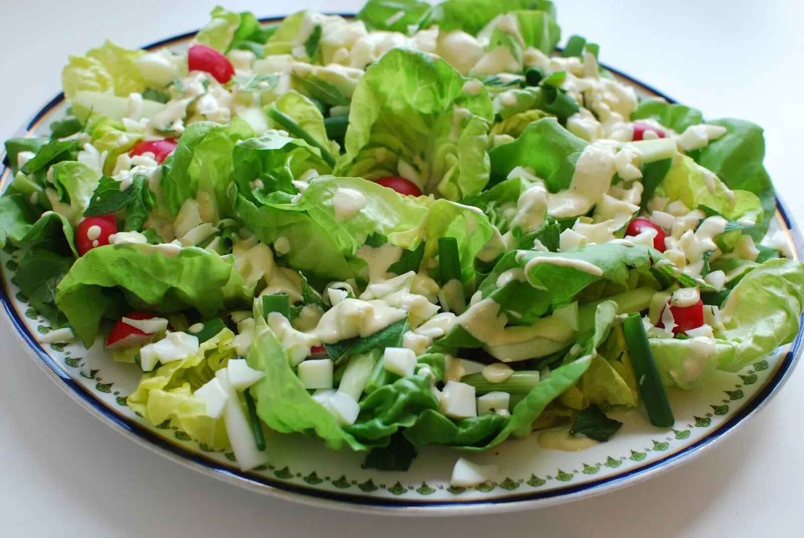 Какой можно сделать салат из листьев салата. Греческий salatasi. салат орловский. два вида салата. салат орел.
