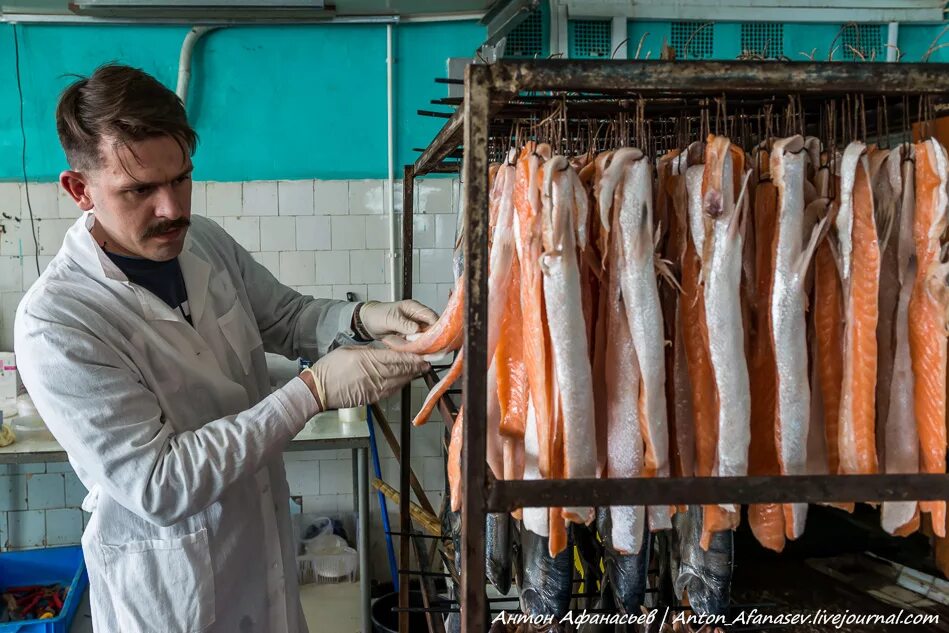 усть камчатский рыбозавод. рыбный завод. где делают рыбу. икра рыбы. хребты форели холодного копчения.