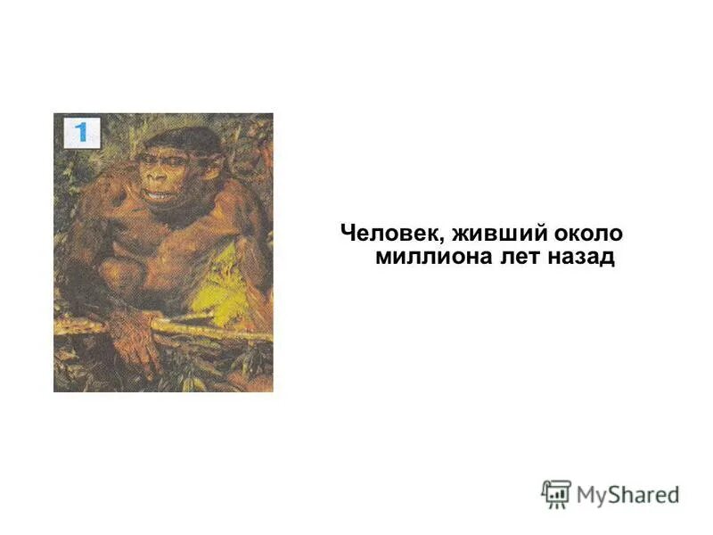 человек проживший миллион лет