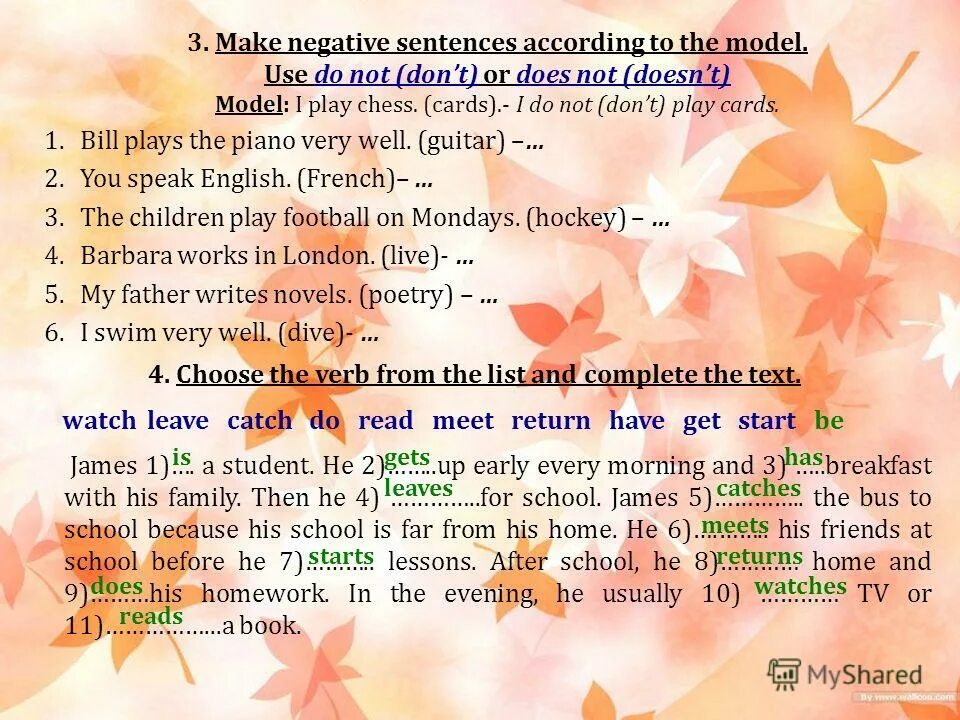 Does he is a student. The simple present tense. I is a student. Тестирование картинки. Does he is a student.