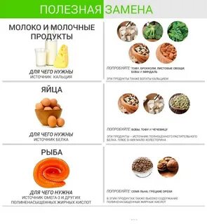 Продукты заменяющие мясо