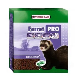 Scan ferret