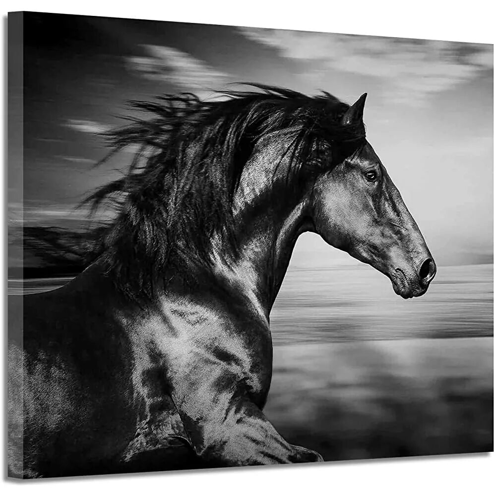Книга черный конь. Черный конь. Лошадь черно белая. Черная и белая лошадь. Черно белая картина лошади.