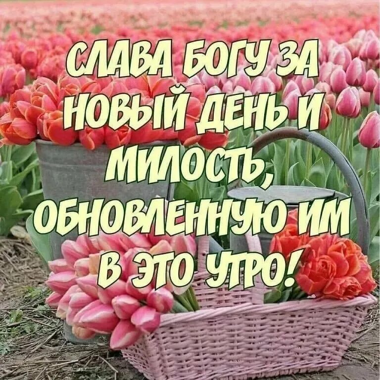 Христианское утро. С добрым утром Божьего благословения. Доброе утро Божьих благословений. Доброе утро благословенного дня. Благословенного дня открытки.