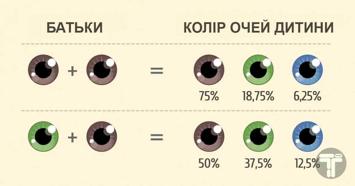 Пара по цвету глаз. Наследование цвета глаз от родителей таблица. цвет глаз. цвет глаз роителей и ребёнка. схема цвета глаз родителей и детей.