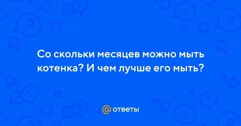 Со скольки месяцев можно мыть котят