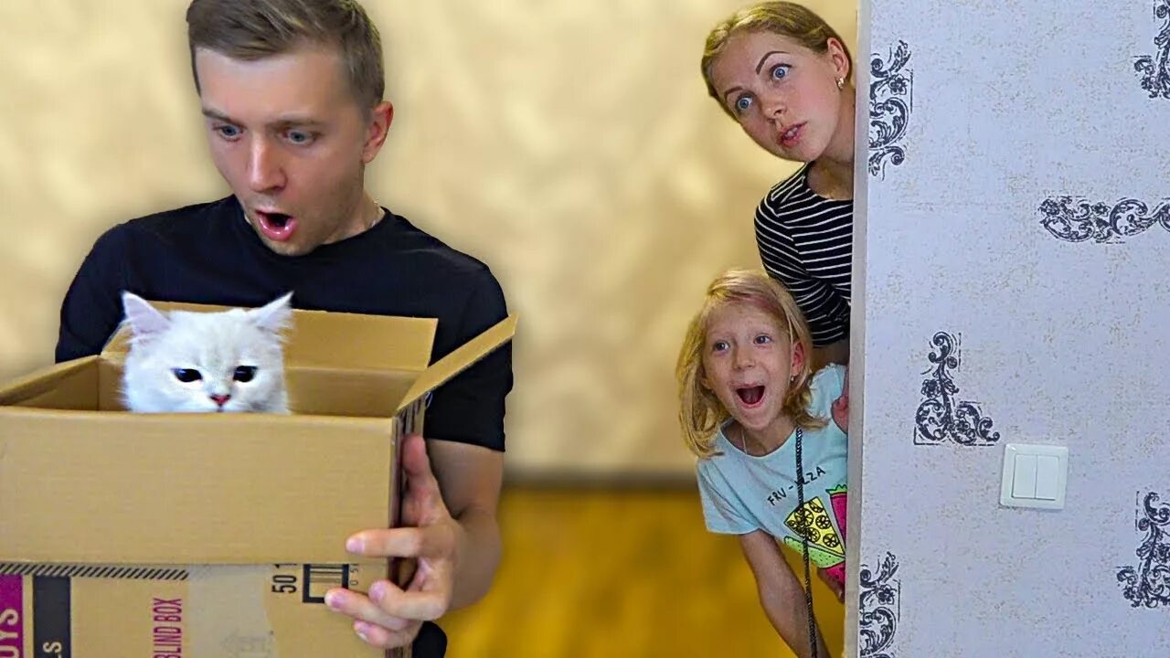 Family box кошка. Фэмили бокс влог 2022. Family box влог. Канал family box vlog family box. Family box ball.