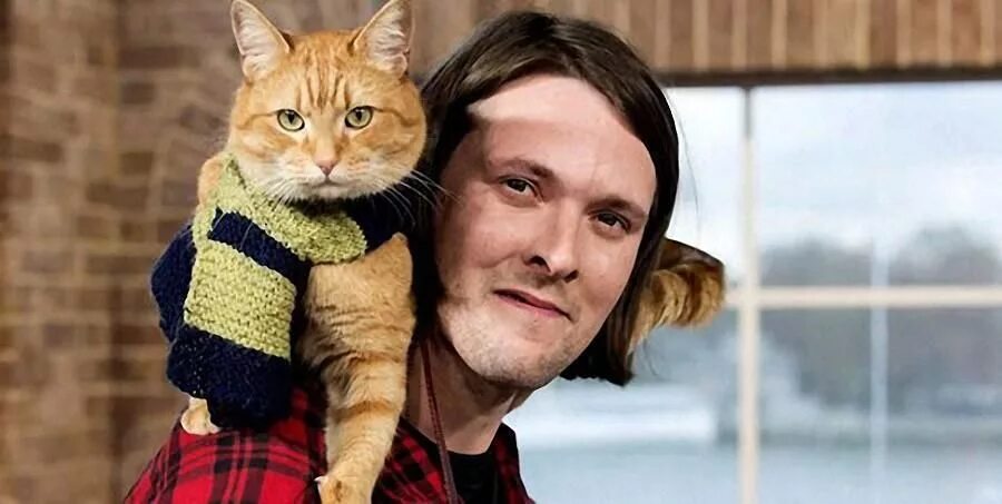 Люк тредэвэй кот боб. Джеймс боуэн и боб. Лучший кот по имени боб. Уличный кот по кличке боб фильм 2016. Кот боб и джеймс боуэн.