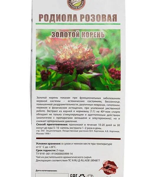 Эхинацея и родиола розовая. Родиола розовая золотой корень показания. Золотой корень родиола розовая применение. Родиола розовая Алтай. Родиола розовая для мужчин