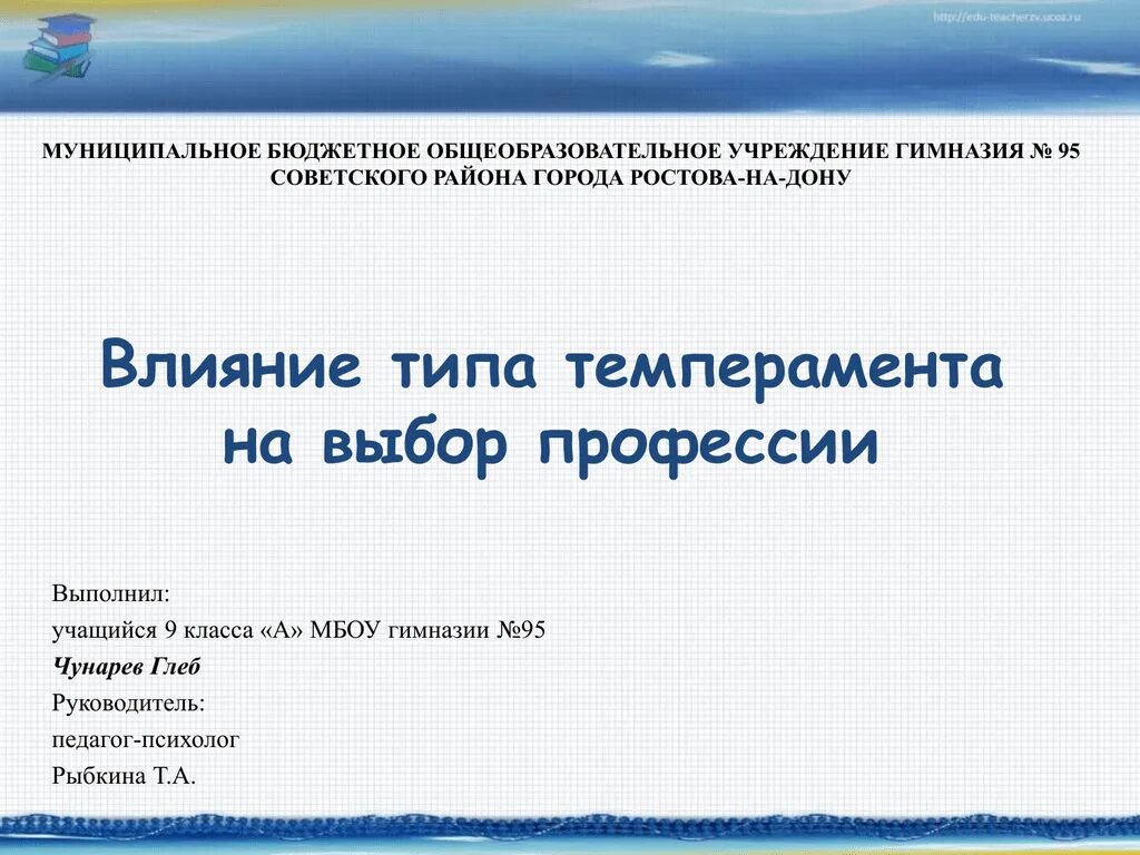 Гипотеза профессии. Влияние типа темперамента на выбор профессии. Что такое темперамент влияние темперамента на выбор профессии. Влияние типа темперамента на выбор профессии проект. Влияние типа темперамента на выбор профессии гипотеза.