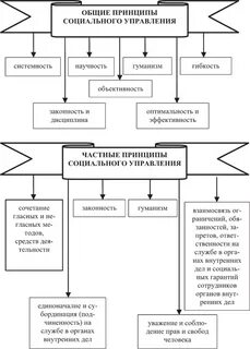 Общие социальные принципы это