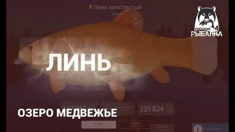 Точки рр4